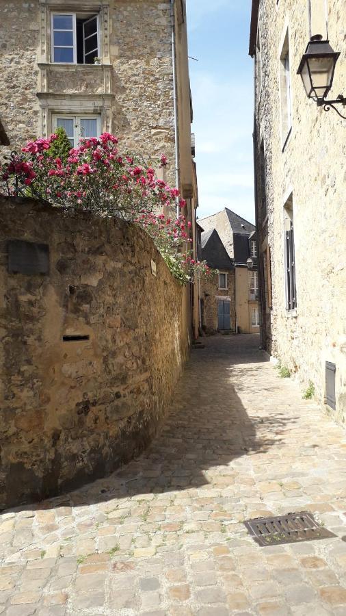 Petite Maison Romantique Au Calme, Coeur Historique Plantagenet, Vue Ville ルマン エクステリア 写真